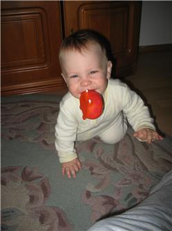 Ich kann schon apportieren IMG_2958.jpg