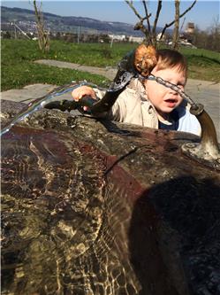 Stock und Brunnen - eine ideale Kombination IMG_0230.jpg