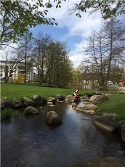 Ist es nicht toll im Stadtpark? IMG_0244.jpg