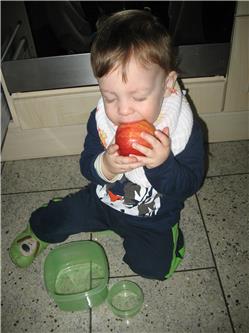 Wer hat denn diese Äpfel so gross gemacht? Ich werd mich gleich beschweren IMG_3491.jpg