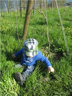 Hier kann man schön spielen. Das grüne Zeug ist aber auch sehr spannend. IMG_3582.jpg