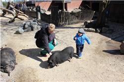 Hmmm, da liegt einer einfach faul rum! IMG_4237.jpg