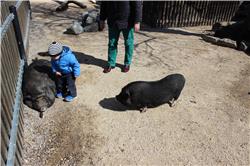 Steh auf Du Sau IMG_4238.jpg