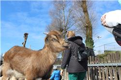 Was waren denn das für welche! IMG_4243.jpg