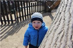 Kuckuck! Hier bin ich! IMG_4251.jpg