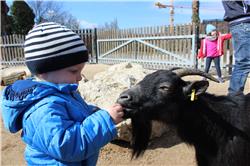 Hier, kriegst auch mal was! IMG_4252.jpg