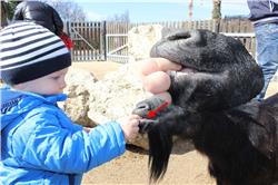 Schaut mal her. Ich bin in gefährlicher Mission unterwegs IMG_4253_bearbeitet_3.jpg