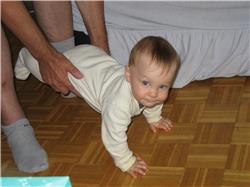 Einmal Schubkarre (einheimische wie ich sagen dazu: garrettlä). IMG_3138.jpg