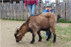 Hier seht ihr uns zusammen. Die Dasy hat mit mir nämlich die Ziegen gestreichelt. Alleine hatte ich doch ein bisschen Angs... ähhh Respekt. IMG_4261.jpg