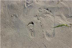 Das linke ist mein Fussabdruck. Beinahe so gross, wie der vom Papa. IMG_4562.jpg