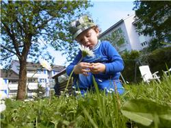 Es muss auch mal Zeit sein für etwas Besinnliches. RIMG0128.jpg