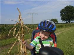 Ich sitze auf dem Opa Fahrrad und durfte ein paar Ähren mit nehmen. Opa hat gesagt, dass daraus unter anderem dieses leckere Brot gemacht wird! RIMG0141.jpg