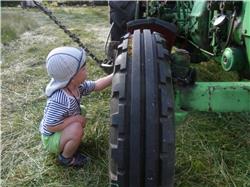 Hmmmmm! Die Schrauben sitzen schon mal! RIMG0215.jpg