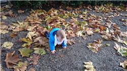 Schööön, so viele Blätter DSC_4113.jpg