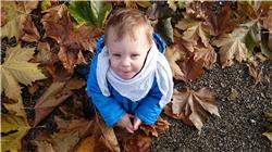 Ich freue mich, dass der Herbst da ist! DSC_4114.jpg