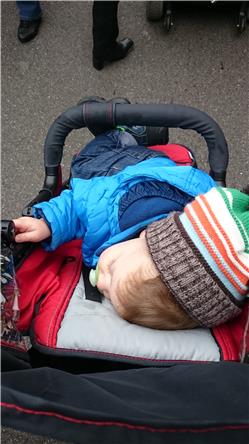 Jetzt bin ich aber erledigt! DSC_4216.jpg