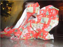 Ich schaff das erst mal weg! RIMG0118.jpg