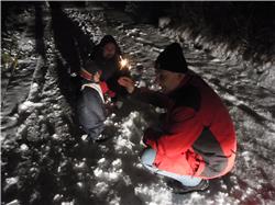 Wunderkerzen! Was ist denn das wieder für ein neumodisches Zeugs! RIMG0138.jpg