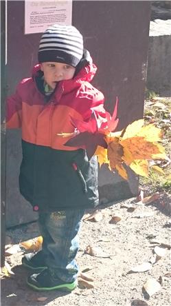 Guckt mal was ich schon gefunden habe. Ich habe zu tun. DSC_0710.jpg