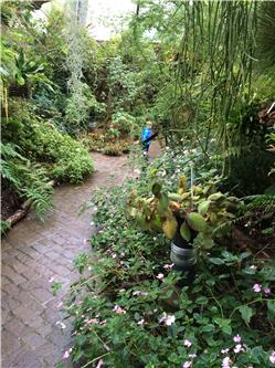 Ich geh schon mal vor und verstecke mich IMG_0524.jpg