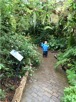 Tada! Bin wieder da! IMG_0529.jpg