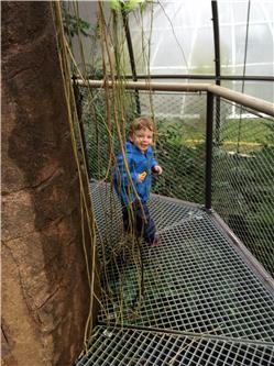 Ich kann 15 Meter über dem Boden um den Baum rennen. Das macht Spass IMG_0548.jpg