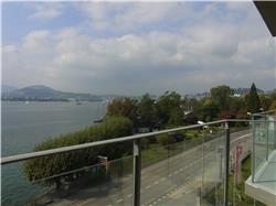 Das ist ein schöner Ausblick auf den See. Opa sagt das sei der Vierwaldstädter See. Woher der das wohl immer weiss? RIMG0049.jpg